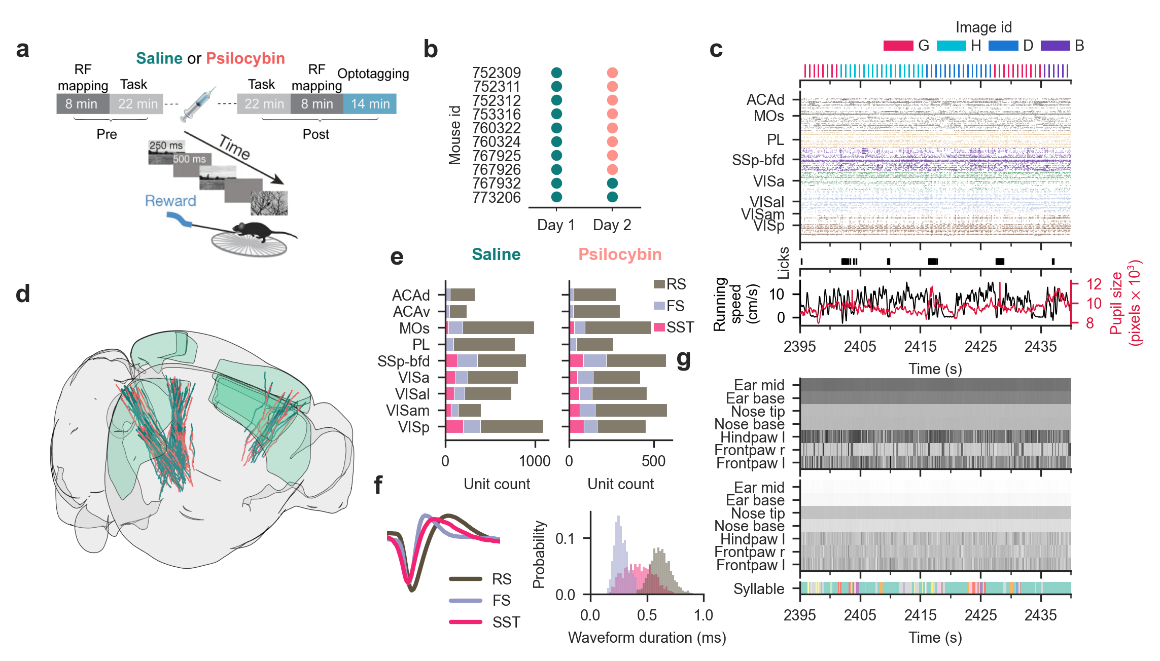 Visual change-detection task and Neuropixels recordings in visual and frontal cortices.