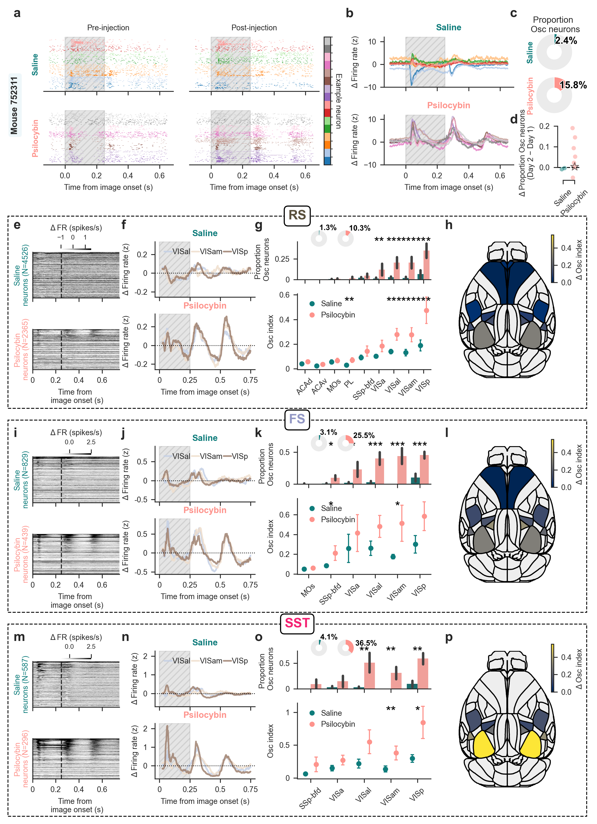 Psilocybin induces an oscillatory modulation strongest in SST interneurons.