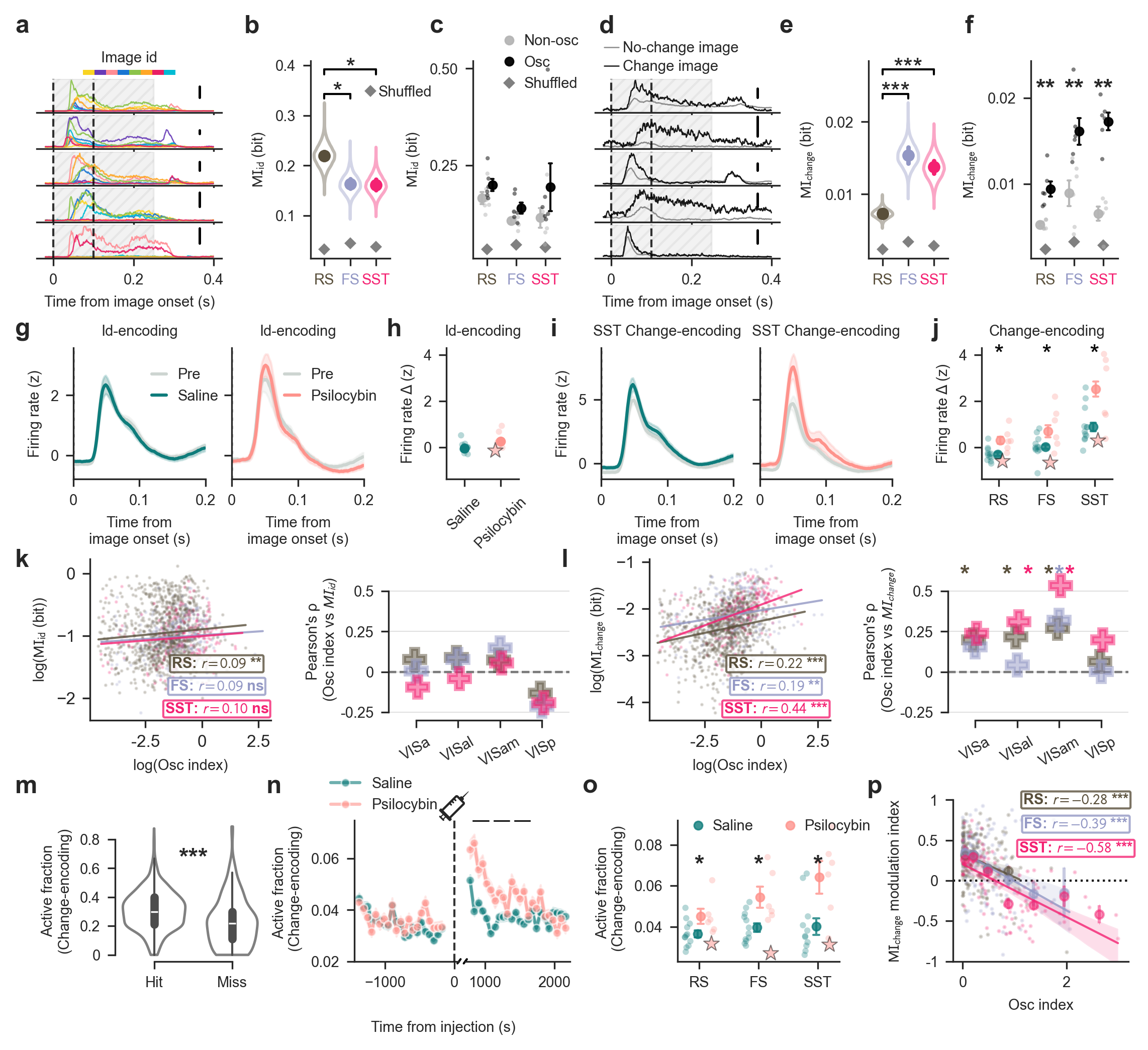 Psilocybin preferentially modulates change-encoding neurons.