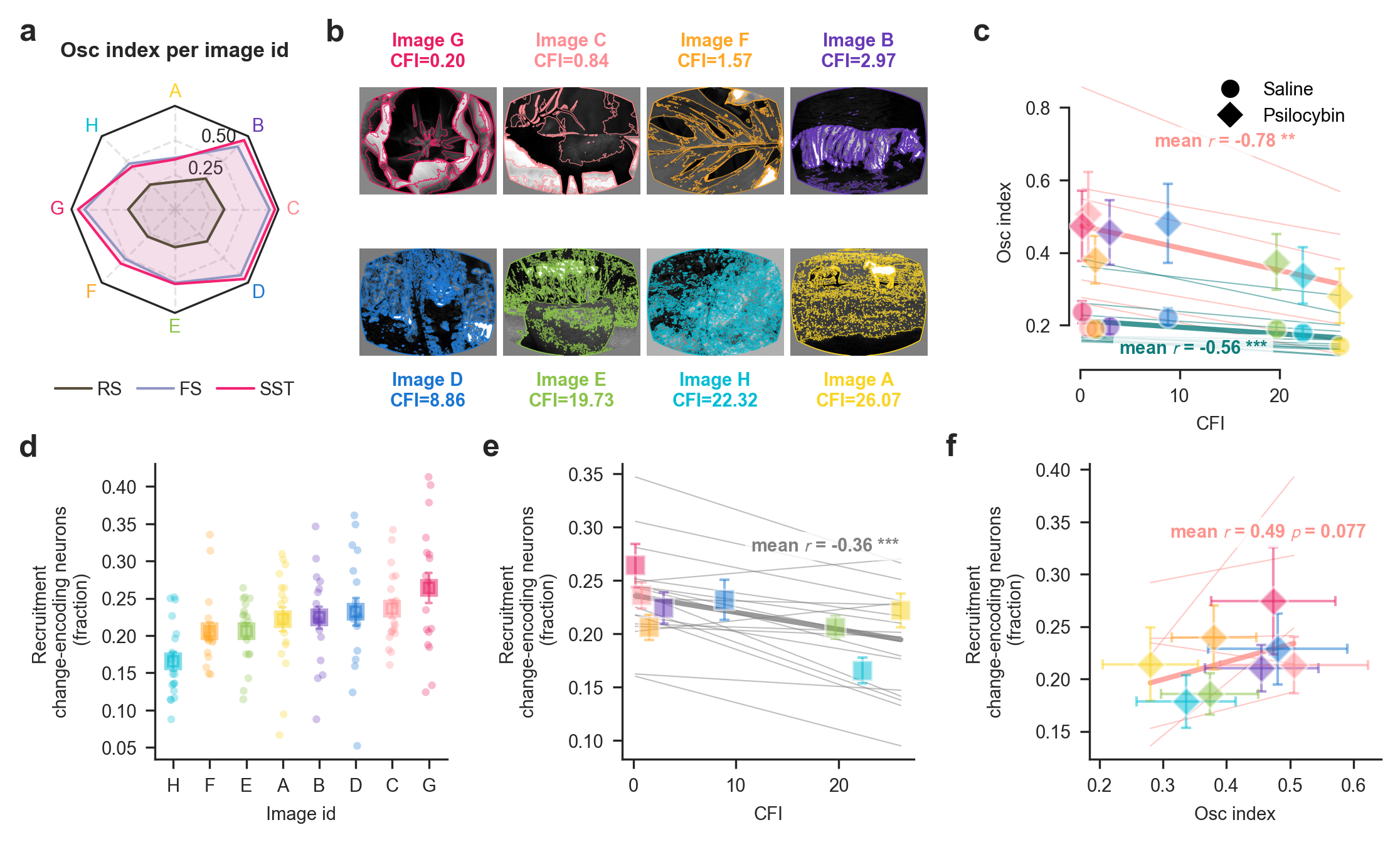 Stimulus features determine the magnitude of psilocybin-induced modulation