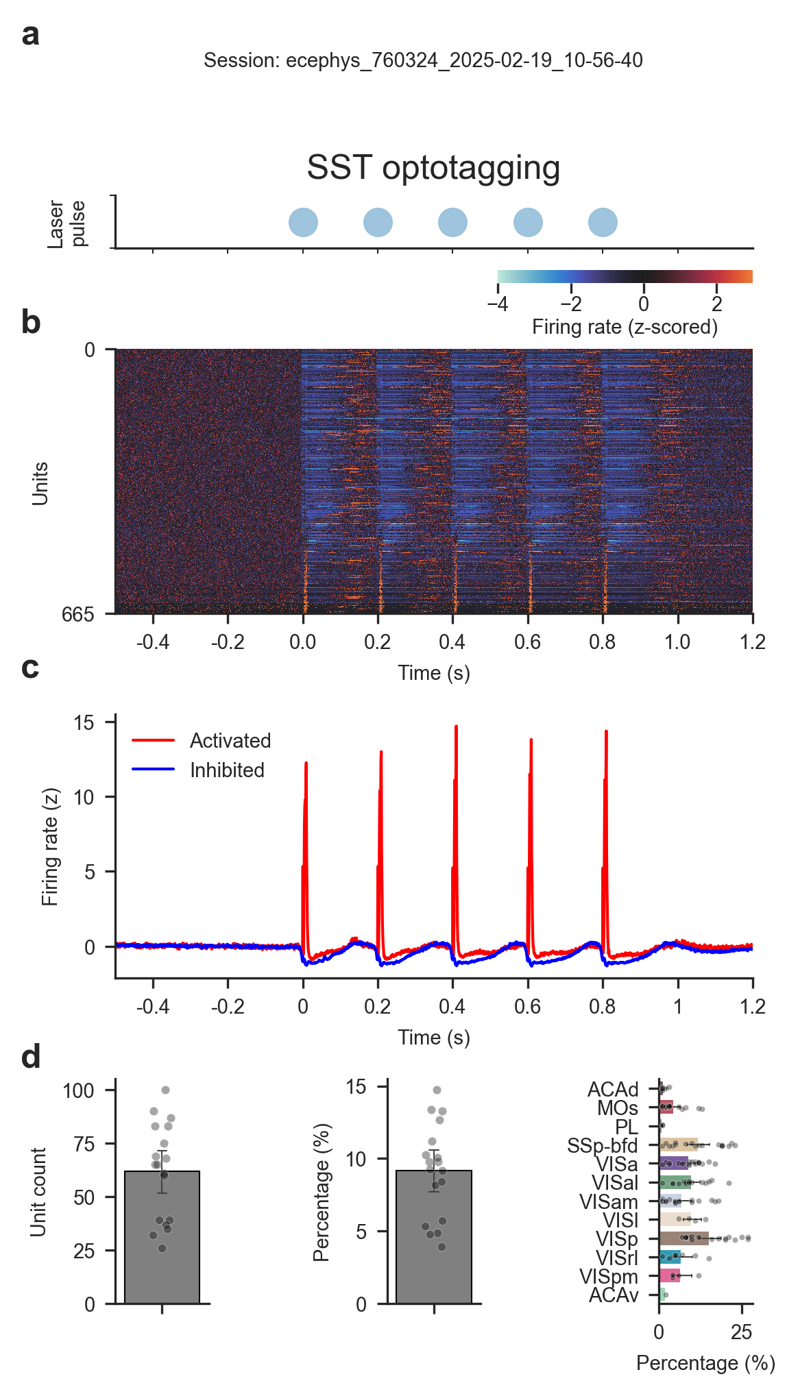 Optotagging identifies SST interneurons
